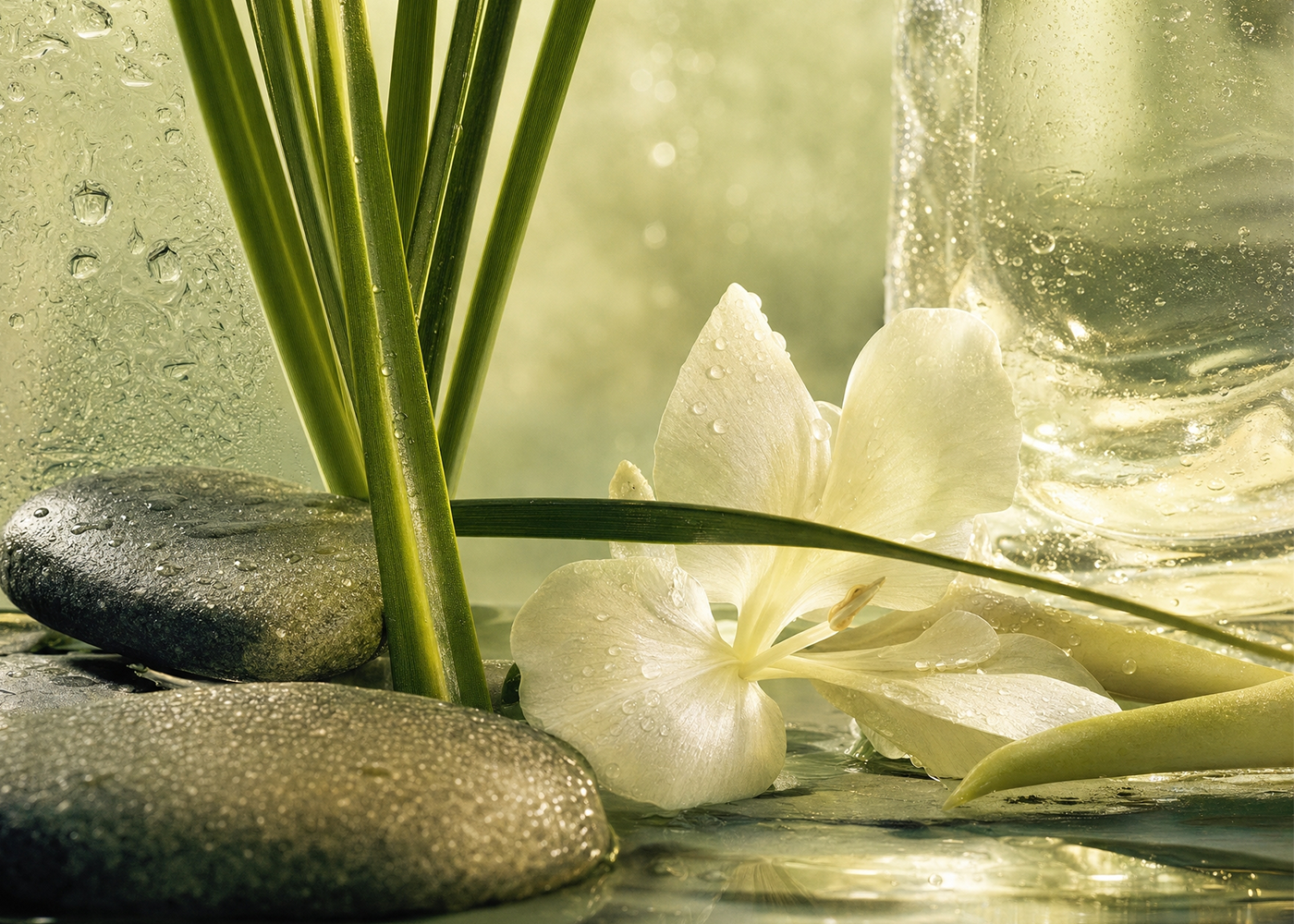 Gingerlily & Lemongrass